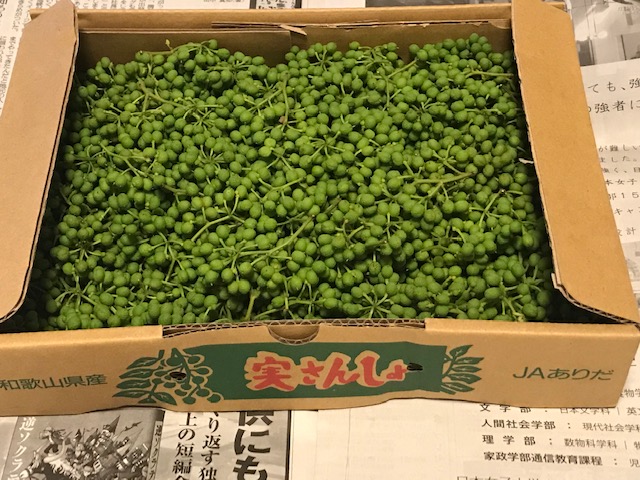 実山椒 冷凍野菜のパイオニア ライフフーズ株式会社